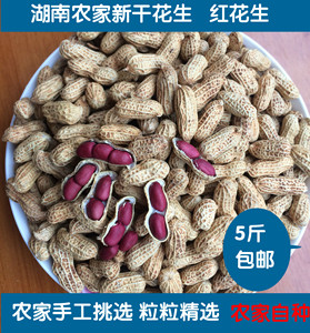 2023湖南特产农家自种新货干红皮花生带壳生花生小粒花生3斤包邮