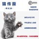 专用链接 阿杜家猫之家付款