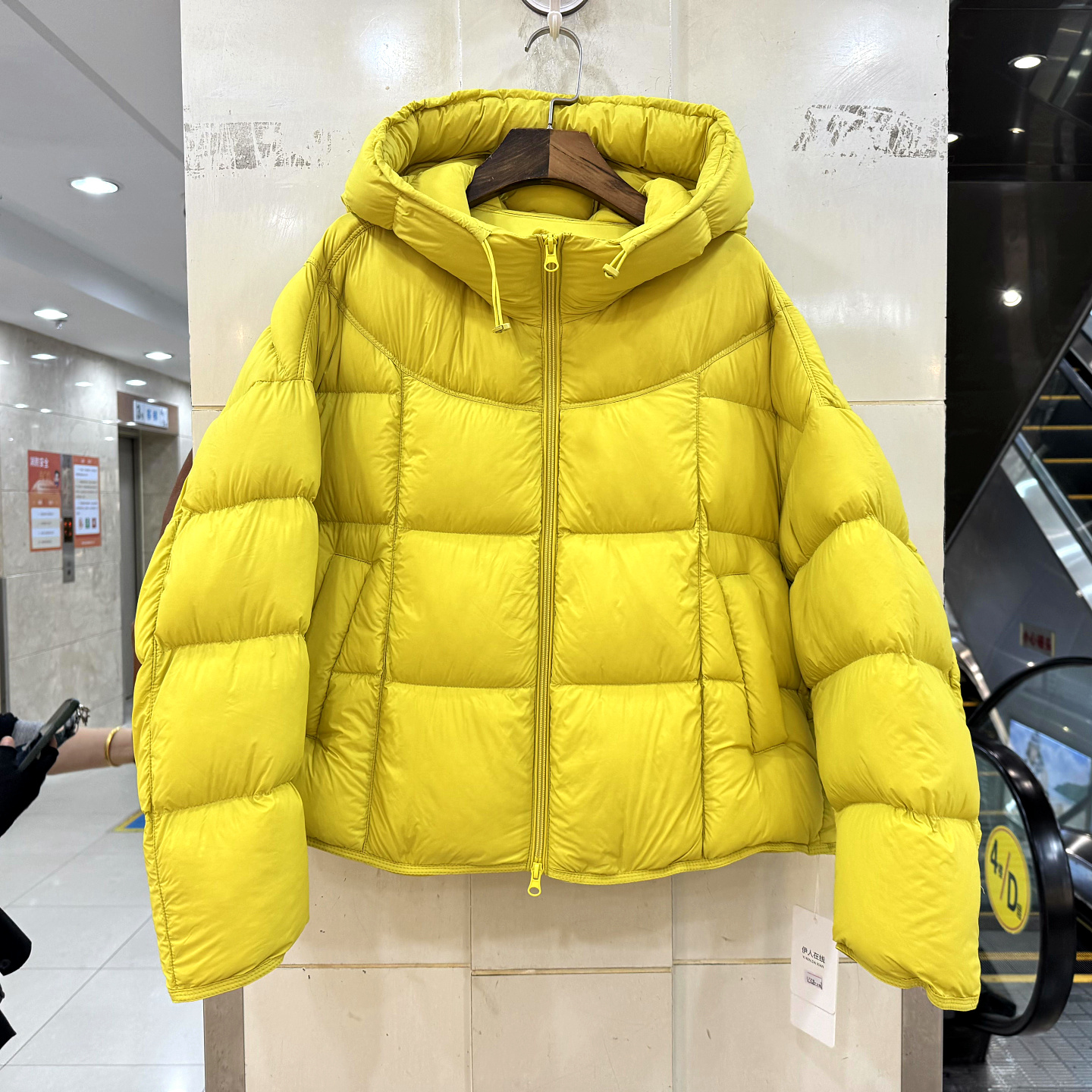 33-9508泡芙连帽短装羽绒服