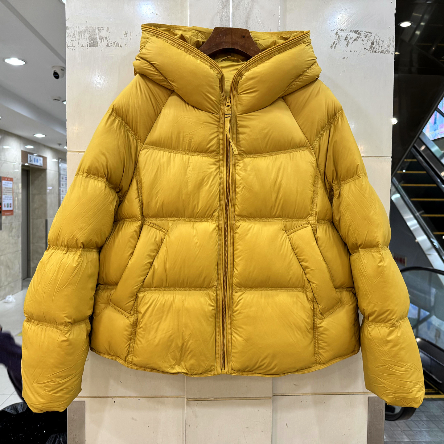 2N8536拉链连帽短装羽绒服