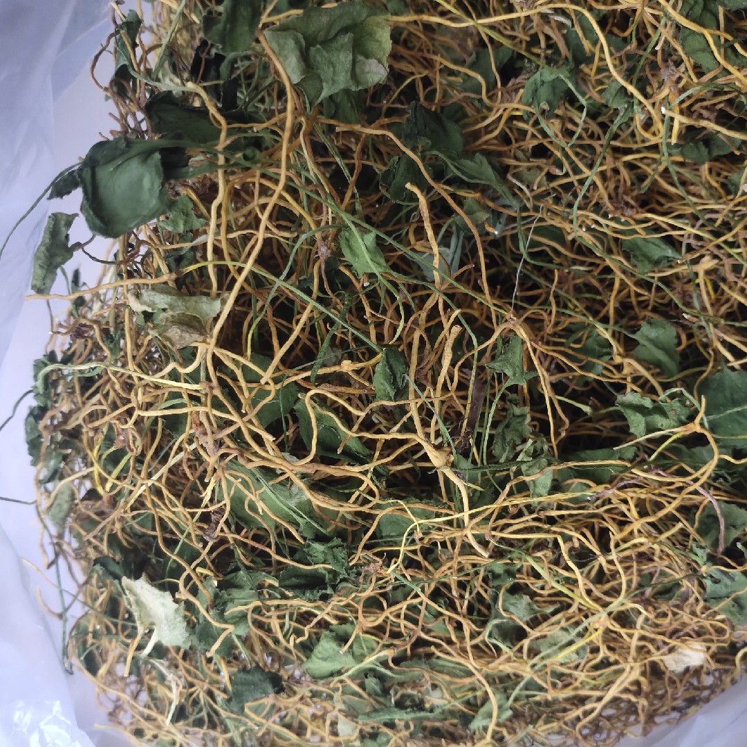 新采野生一支箭中药材蛇须草一枝箭蛇咬子青藤新鲜干货100克包邮