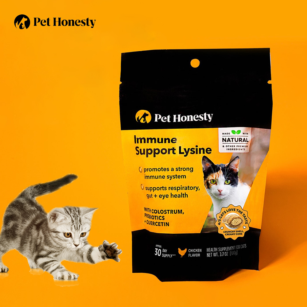 Pet Honesty-维持肠道消化健康增强免疫力支持赖氨酸 鸡肉味猫粮
