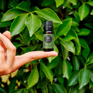 Sage 伊甸园 Dalmatian 鼠尾草 单方精油 Edens 恢复活力 Garden