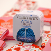 Velamints White浓薄荷冰感清凉高效工作持久清新口香糖 40g
