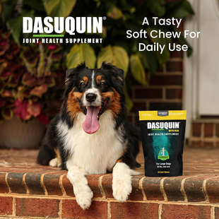 Nutramax-含葡萄糖胺软骨素ASU、MSM等大型犬专用关节保健补充剂