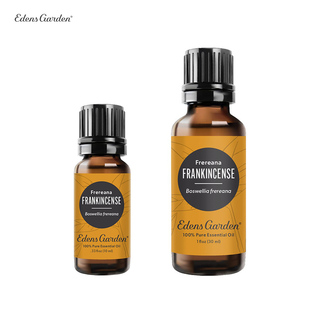 Garden 乳香 伊甸园 frereana 单方精油 Frankincense Edens