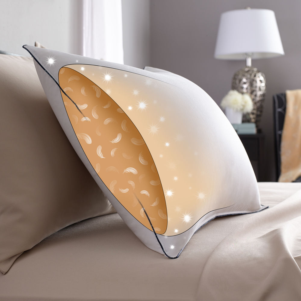 枕PacificCoast-美国派赛菲特