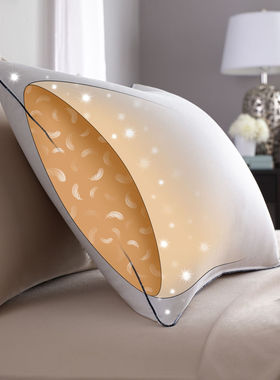 Pacific Coast-美国派赛菲特 550蓬绒毛混合 230纱织纯棉 羽绒枕