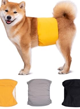 宠物狗狗生理带公狗吸水泰迪比熊