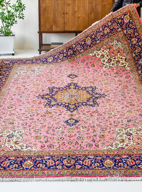 视觉味道 伊朗Tabriz手工羊毛地毯客厅进口别墅美式欧式波斯60029