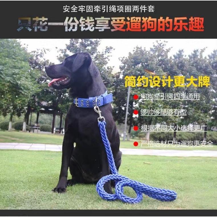 大型犬狗链子大狗牵引绳带狗绳狗项圈阿拉斯加德牧金毛狗狗牵引绳