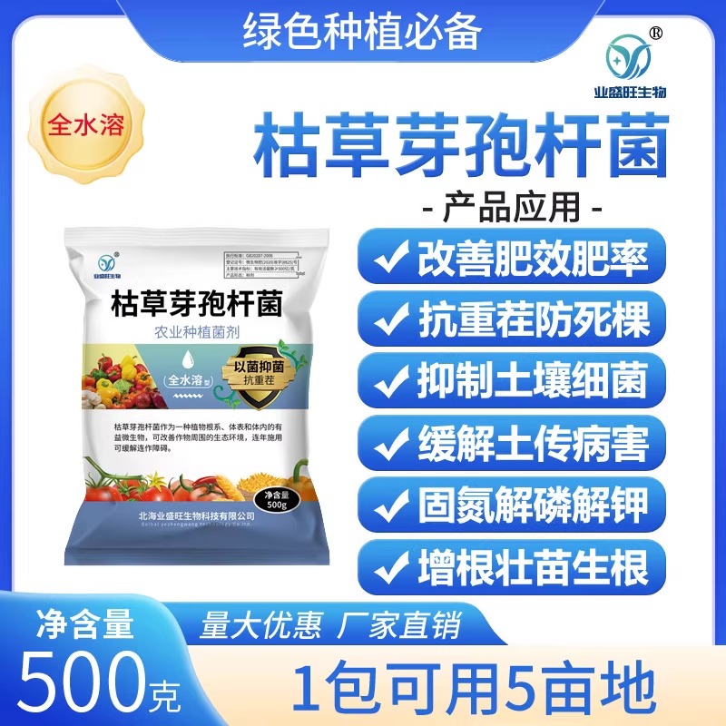 业盛旺枯草芽孢杆菌全水溶枯萎青枯烂根姜瘟根腐溃疡病抗重茬固氮