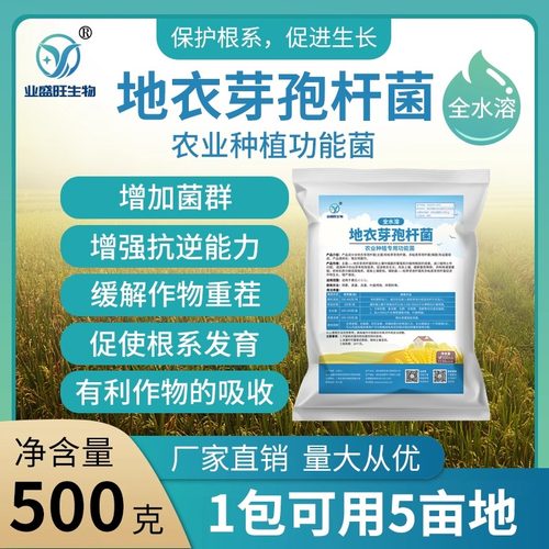 业盛旺生物地衣芽孢杆菌抗重茬
