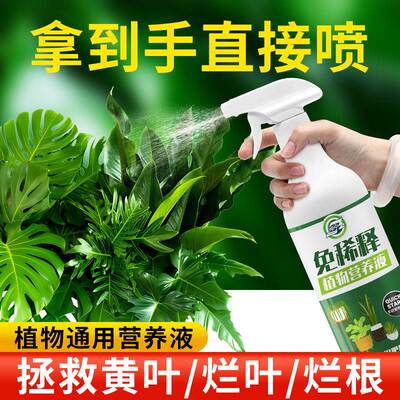 免稀释植物营养液通用型盆栽肥料室内绿植发财树养花卉叶面喷施肥
