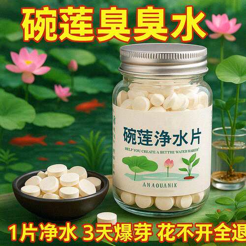 植物保鲜碗莲水培植物专用净水片营养净水保鲜剂富贵土壤渗透剂