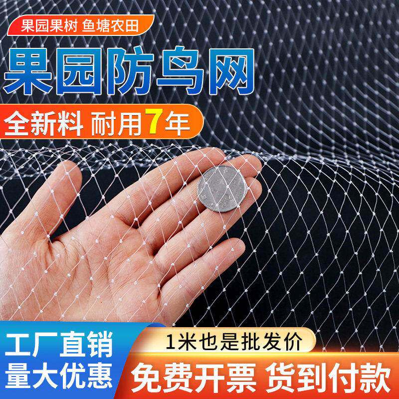 德国防鸟网菜园专用果树园尼龙线防鸟罩阳台樱桃树嘉宝果鱼塘天网
