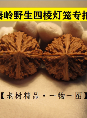 秦岭野生核桃文玩狮子头精品四棱