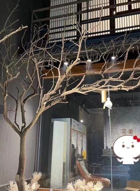 仿真枯树大型 造型枯树干枝真树干 假树道具树酒店客厅咖啡店装饰