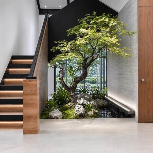 高端会所景观装饰大型落地枫树