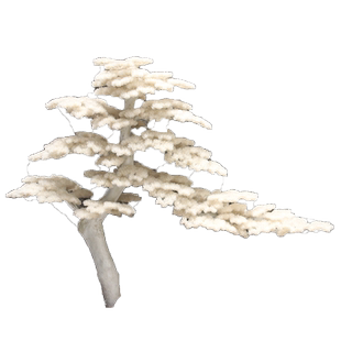 仿真迎客松雪松白色松树景观室内造景假树枯木大型造型中式玄关