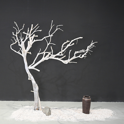 白色树干冬日树冰雪节节日氛围