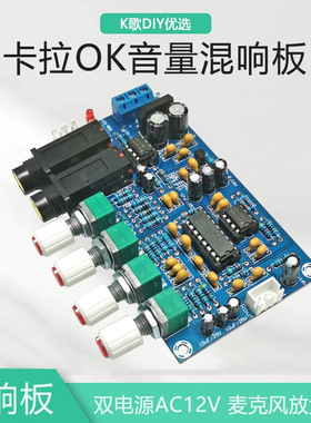 PT2399卡拉OK混响话筒麦克风放大板K歌唱放功放模块前置板高清20W