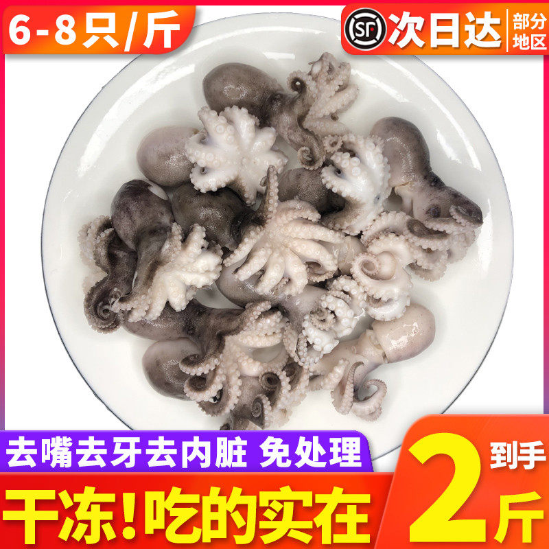 去内脏特大八爪鱼鲜活急冻迷你小章鱼爆头大海兔麻辣新鲜冷冻海鲜