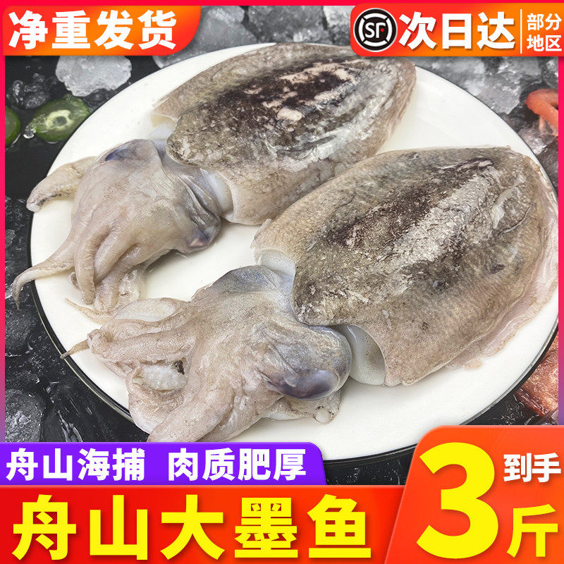 东海大墨鱼新鲜冷冻鲜活海鲜水产花枝超大目鱼章鱼爆头八爪鱼包邮,水产肉类/新鲜蔬果/熟食,冷冻墨鱼/冷冻墨鱼仔,淘宝优惠券,粉丝福利购,淘宝优惠卷