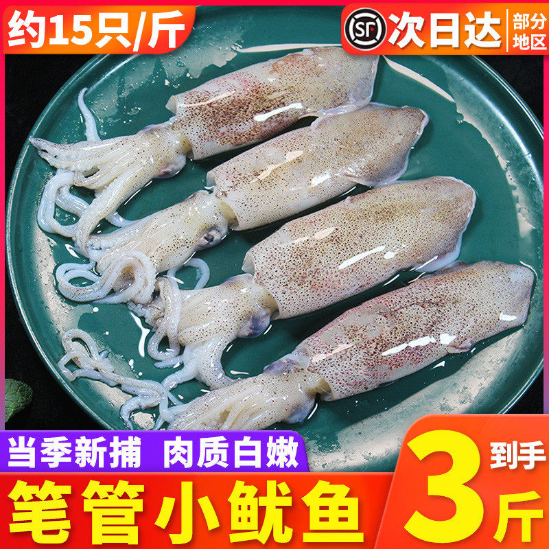 3斤舟山海捕笔管小鱿鱼鲜活冷冻新鲜海兔子鱿鱼仔不带籽海鲜水产,水产肉类/新鲜蔬果/熟食,冷冻鱿鱼,淘宝优惠券,粉丝福利购,淘宝优惠卷