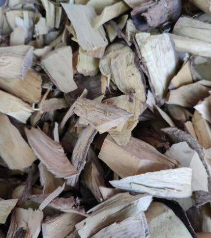 猫尾木根 猫尾树 都是树龄10年以上的根部干品纯根非薯500克