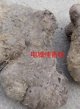 新鲜紫山药人参脚板薯血薯