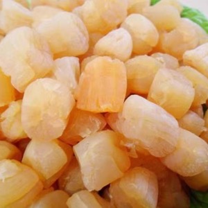 电城佳香味 干贝扇贝柱瑶柱丁扇贝元贝淡干250克