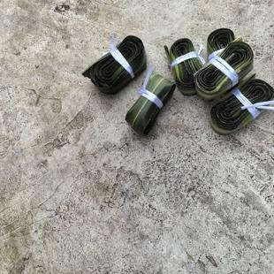 新鲜粽子叶露兜芦兜罗鼓仔山野菠萝树叶胶古勒古叶簕古锣鼓绞交古