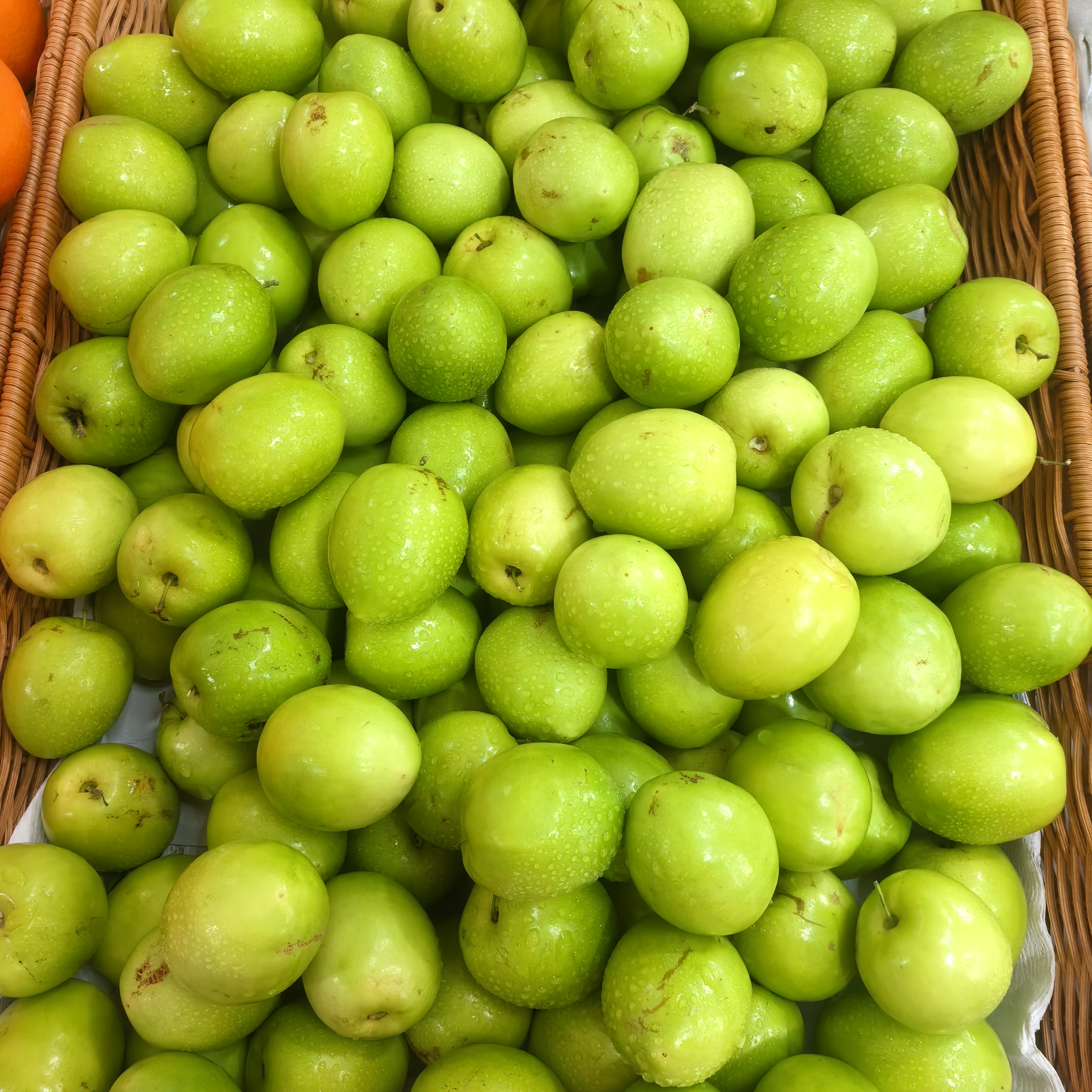 牛奶大青枣新鲜5斤当季现摘水果大枣子贵妃苹果枣冬枣脆甜