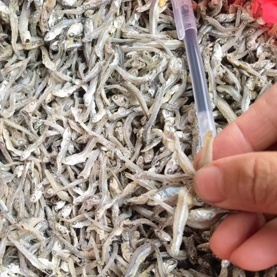 电白特产 海味干货公干鱼干/条仔鱼/丁香鱼/海燕鱼500克中条