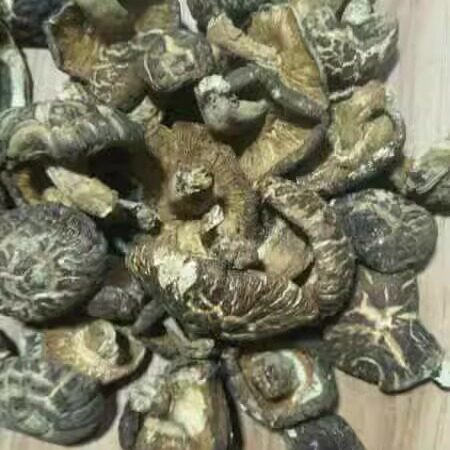 井冈山花菇白花菇厚肉蘑菇纹香菇冬菇干货农家特产500克包邮