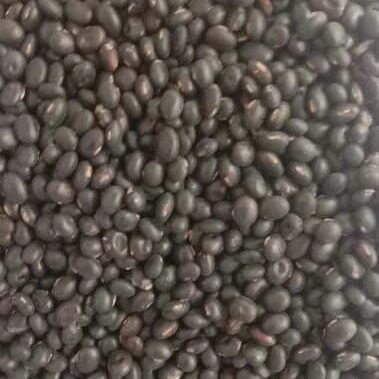 黑豇豆小黑豆农家自产黑小豆子五谷杂粮散装