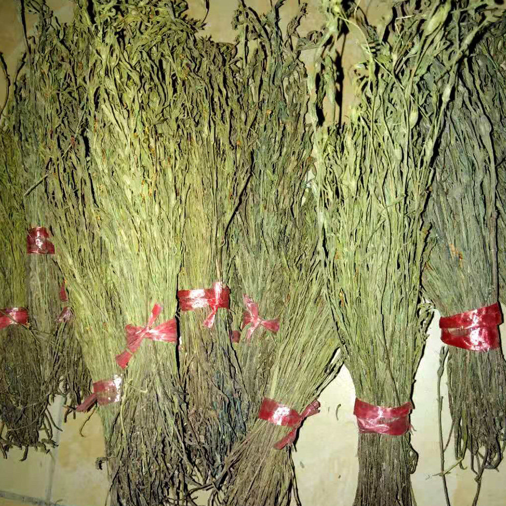 新鲜独脚金疳积草独脚柑五寸甘消米虫干品50克