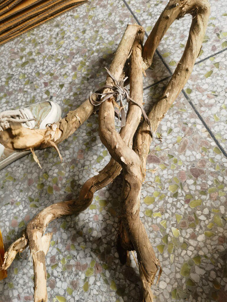 新鲜金银花老藤宝宝洗澡忍冬大条藤婴儿家用泡澡儿童洗头泡脚