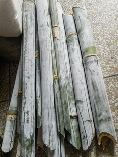 新鲜单竹筒丹竹丝单竹茹丹竹肉丝竹皮丹竹青竹茹淡竹茹500克