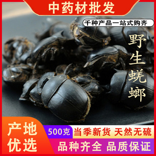 同仁堂品质蜣螂新货屎壳郎推粪虫粪球虫大将军中药材500克g可磨粉
