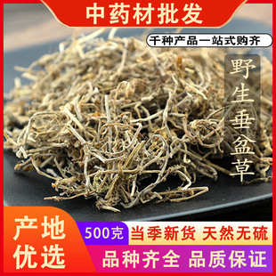 同仁堂品质垂盆草三叶佛甲草狗牙草佛指甲中药材500克g可免费磨粉