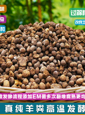 纯羊粪发酵腐熟蛋球种花蔬菜盆栽