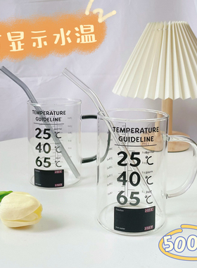 可温度显示圆形玻璃杯高硼硅大容量带盖水杯刻度咖啡杯耐热泡茶杯