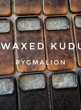 英国cfs羚羊皮适用于苹果系列iphone17promax真皮新机皮质手机壳磁吸保护套全包电容按键金属摄像头环做旧野