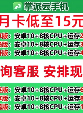 掌派云手机 青春 众享 欢畅 精英 尊享 旗舰 激活码 新增续费转移
