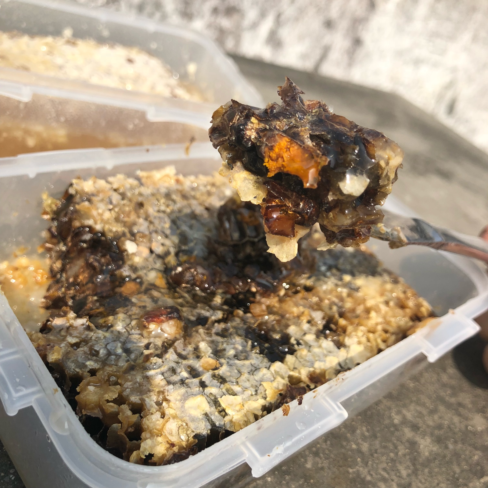 老巢蜜老蜂巢蜂窝蜂巢蜜嚼着吃农家自产纯正天然非野生百花蜂蜜巢