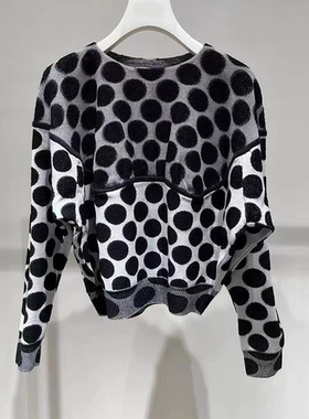 正品2H1E407-23 D大 23秋4  1799W  黑白波点  针织衫