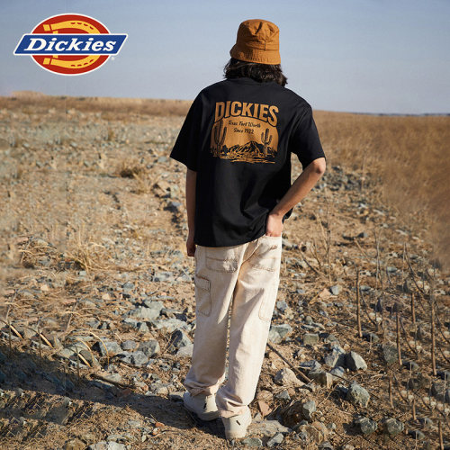 Dickies短袖T恤背后大印花