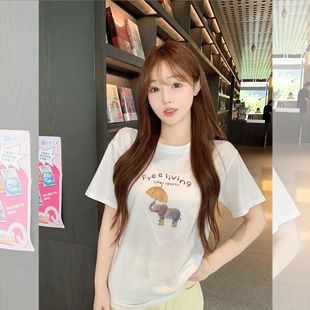 现货闪发钟菲菲纯棉精梳棉拱桥绣小象短袖女t恤2026新款巨好看的
